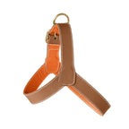 Harnais pour Chien Marron Face