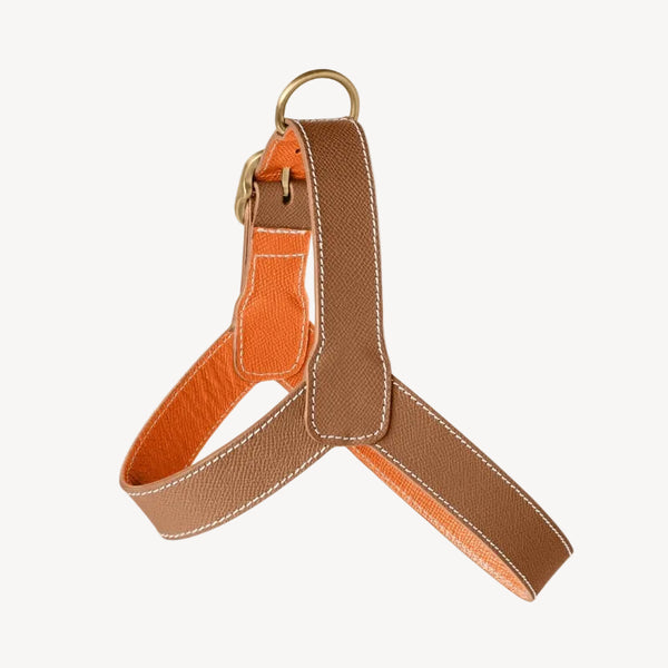 CHAMONIX - Harnais pour chien marron