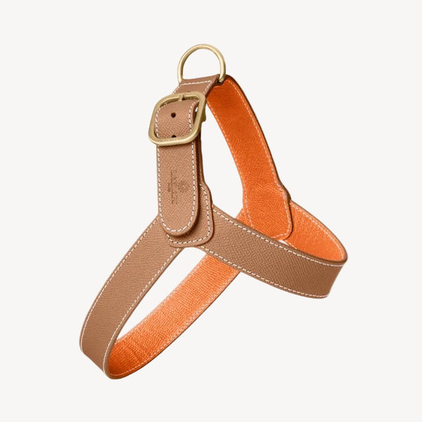 CHAMONIX - Harnais pour chien marron