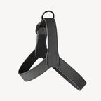 Harnais pour Chien Noir Côté