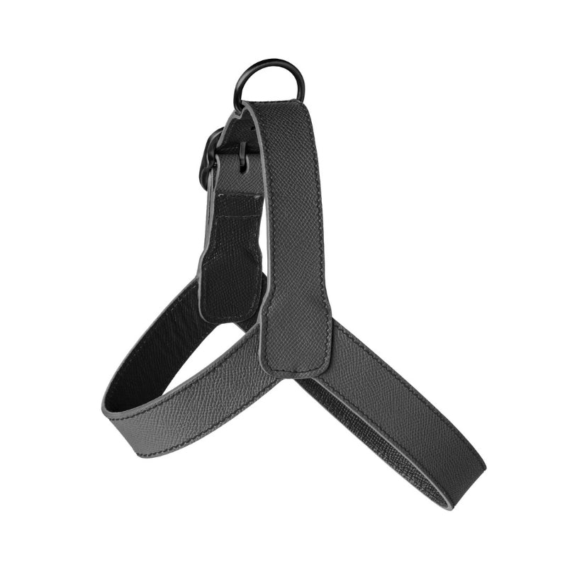 Harnais pour Chien Noir Côté