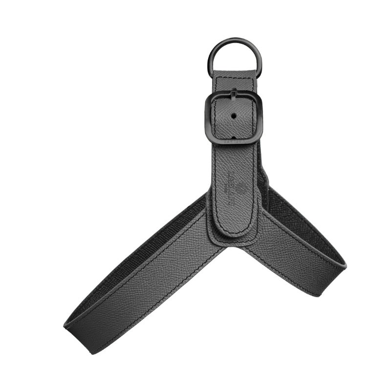 Harnais pour Chien Noir Face