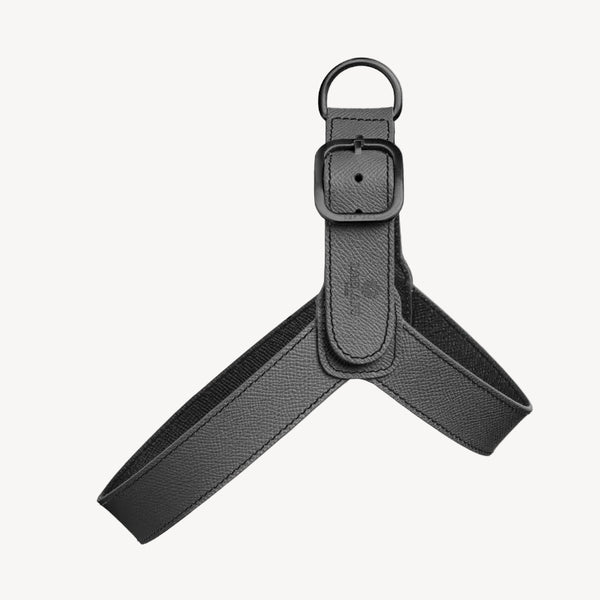 CHAMONIX - Harnais pour chien noir