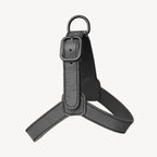 Harnais pour Chien Noir Petite Taille