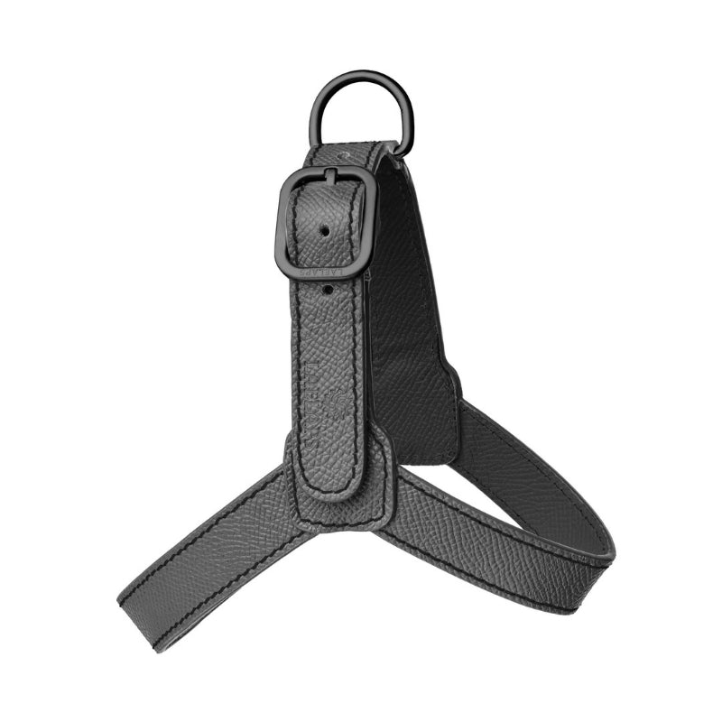 Harnais pour Chien Noir Petite Taille