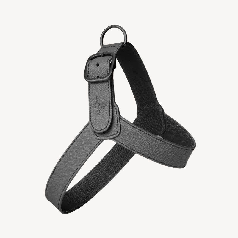 Harnais pour Chien Noir