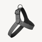 Harnais pour Chien Noir