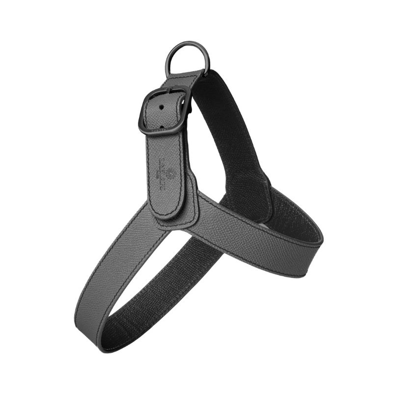Harnais pour Chien Noir