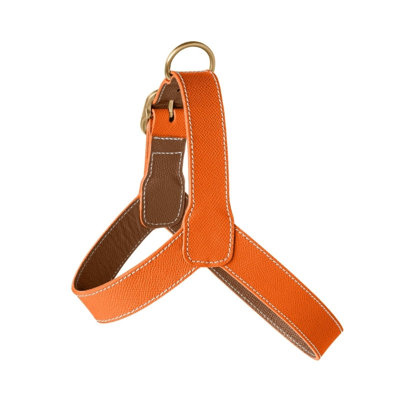 Harnais pour Chien Orange Côté