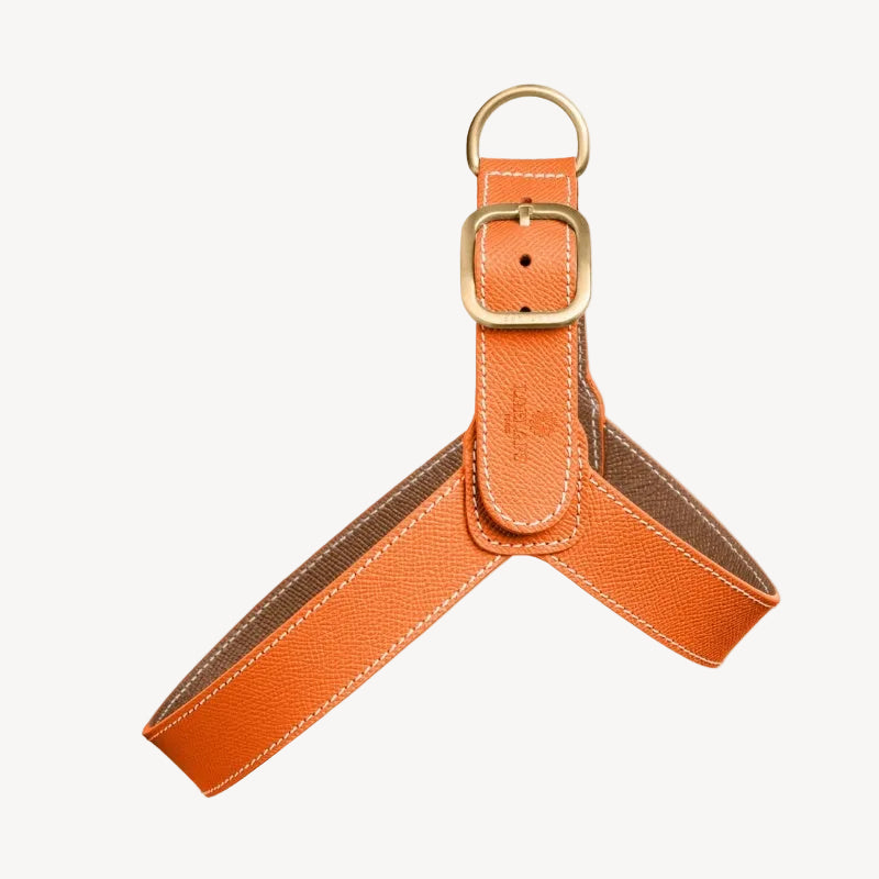 Harnais pour Chien Orange Face