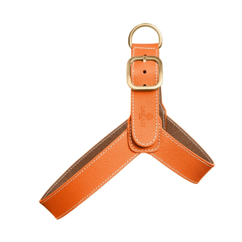 Harnais pour Chien Orange Face