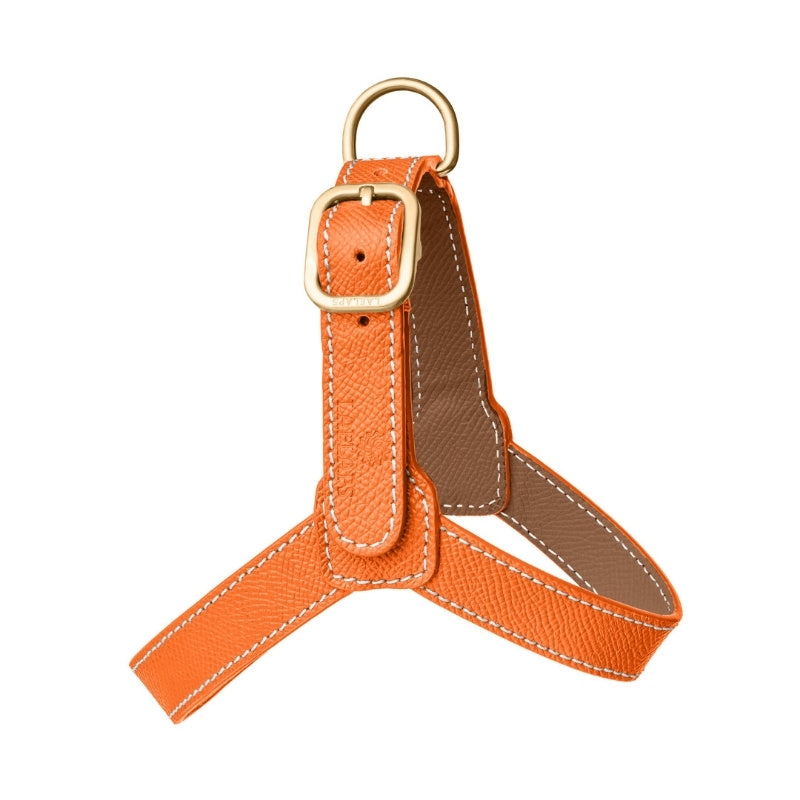 Harnais pour Chien Orange Petite Taille 