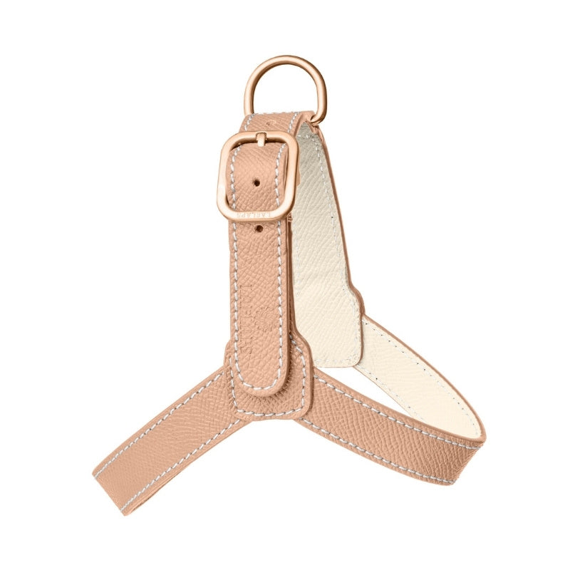 Harnais pour Chien Rose Petite Taille