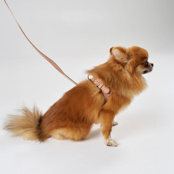 CHAMONIX - Harnais pour chien rose