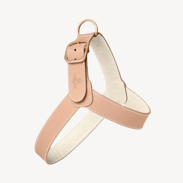 CHAMONIX - Harnais pour chien rose