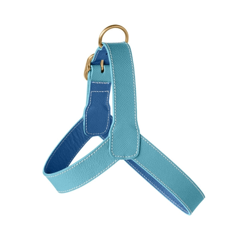 Harnais pour Chien Turquoise Côté