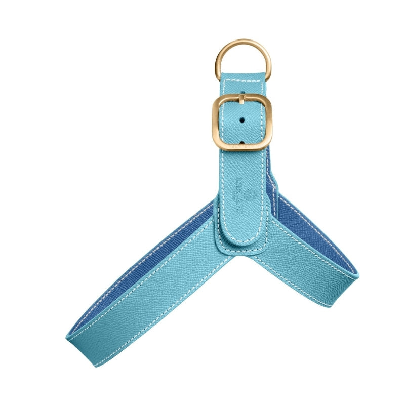 Harnais pour Chien Turquoise Face
