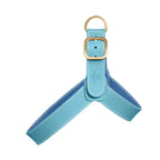 Harnais pour Chien Turquoise Face