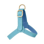 Harnais pour Chien Turquoise Petite Taille
