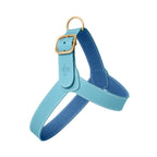 Harnais pour Chien Turquoise