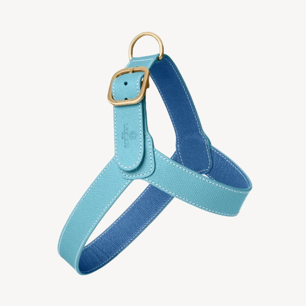 CHAMONIX - Harnais pour chien turquoise