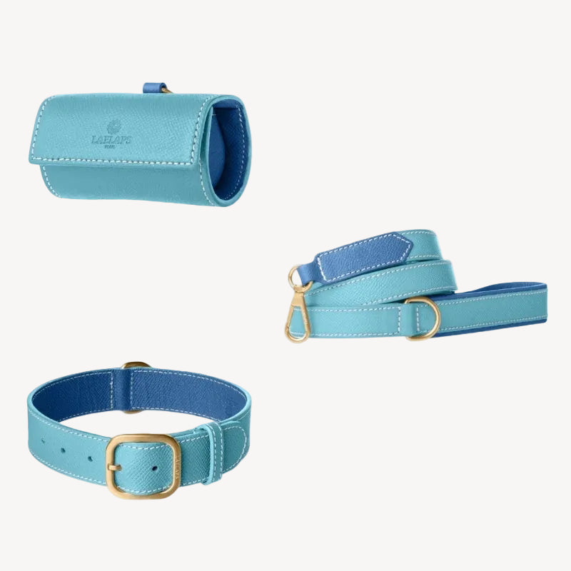 Kit Accessoires pour Chien en Cuir Bleu Clair