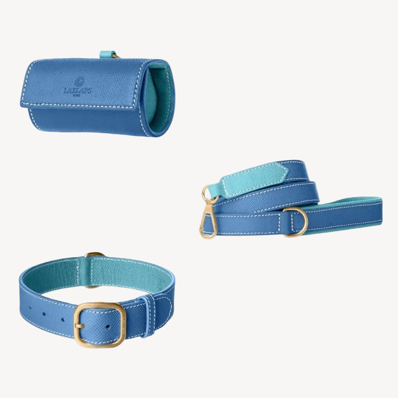 Kit Accessoires pour Chien en Cuir Bleu