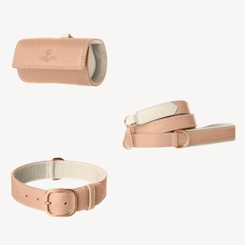 Kit Accessoires pour Chien en Cuir Rose