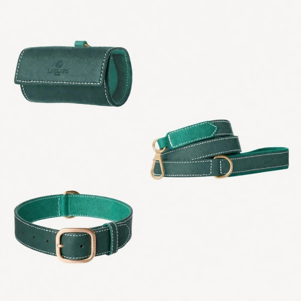 CHANTILLY - Kit d'accessoires pour chien en cuir vert