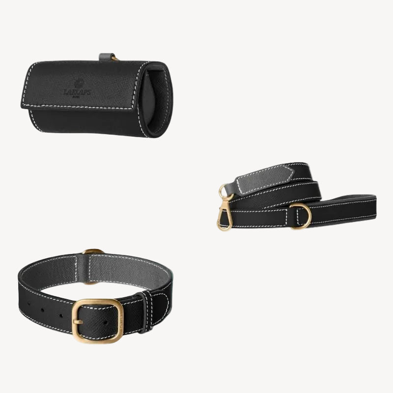 Kit Accessoires pour chien en Cuir Noir