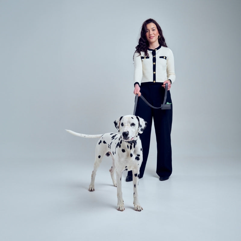 Laisse pour Chien Anthracite Promenade