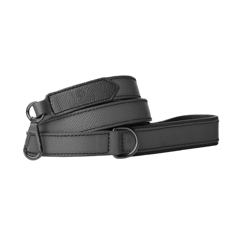 Laisse pour Chien Anthracite