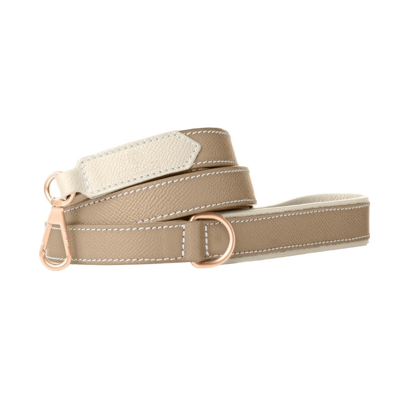 Laisse pour Chien Beige