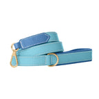 Laisse pour Chien Bleu Clair