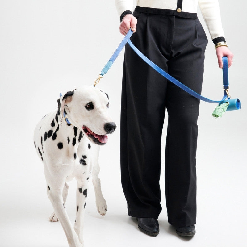 CAP FERRAT - Laisse pour chien bleue