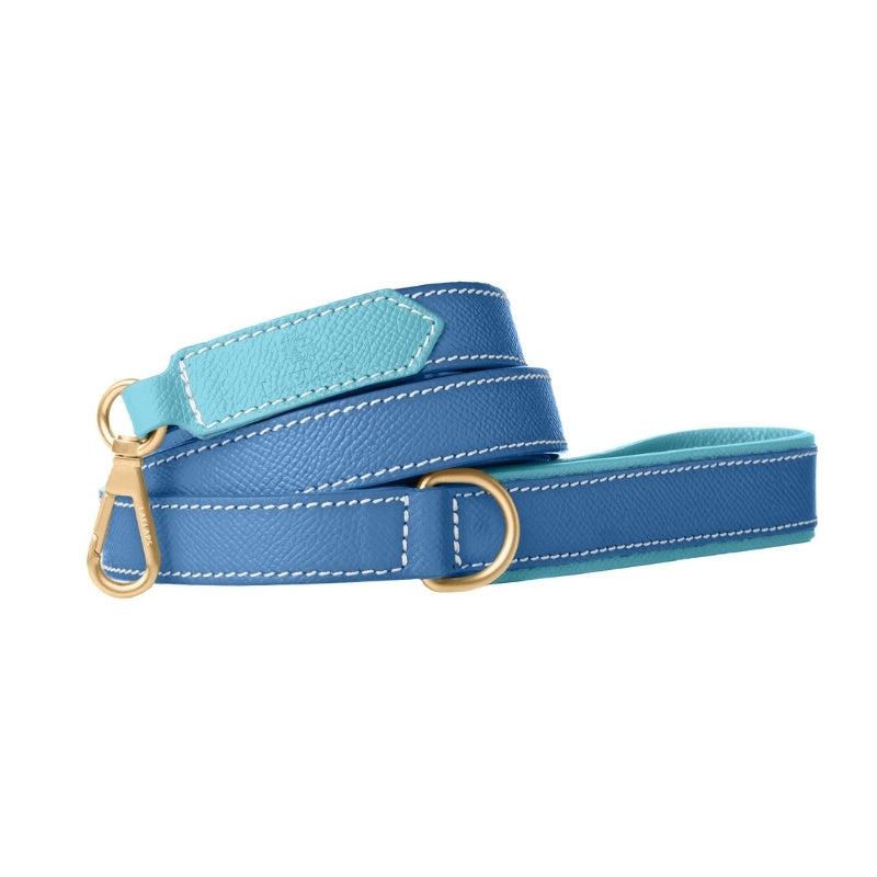 Laisse pour Chien Bleu