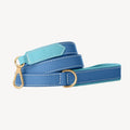 Laisse pour Chien Bleu