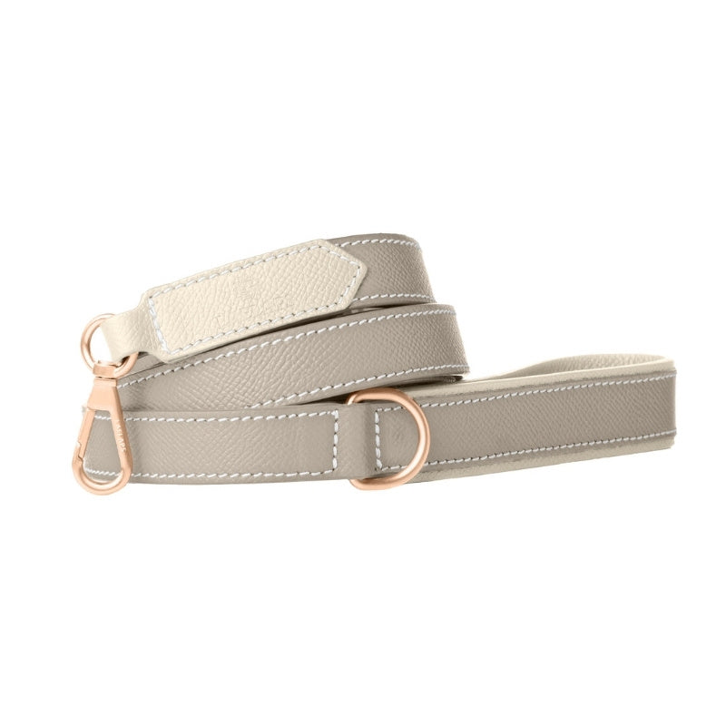 Laisse pour Chien Gris Clair