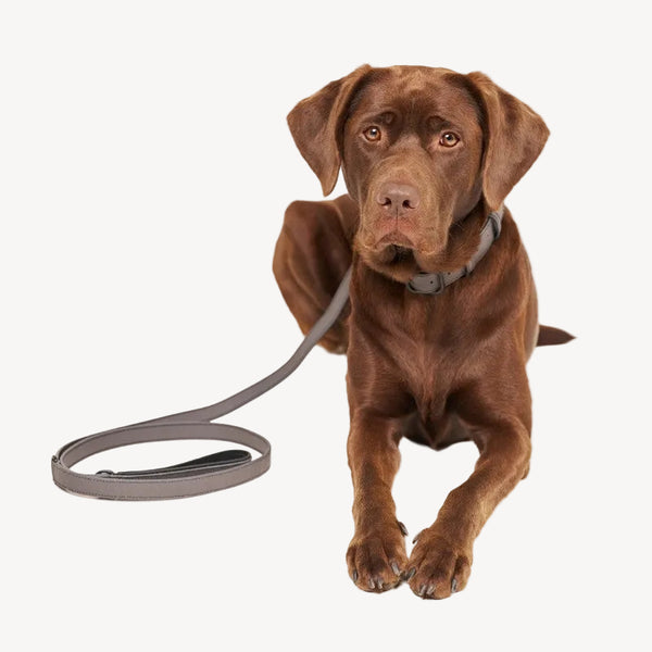 CAP FERRAT - Серый собачий поводок