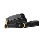 Laisse pour Chien Noire 