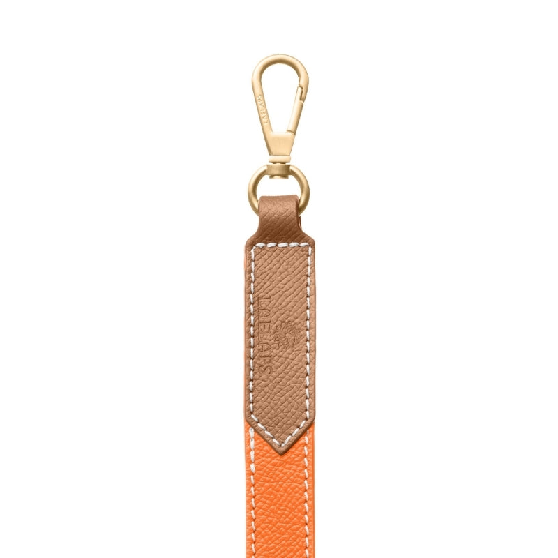 Laisse pour Chien Orange Boucle
