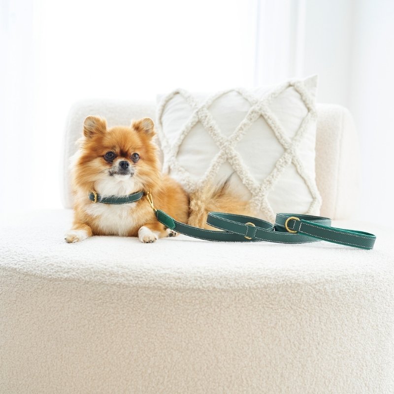 CAP FERRAT - Laisse pour chien verte