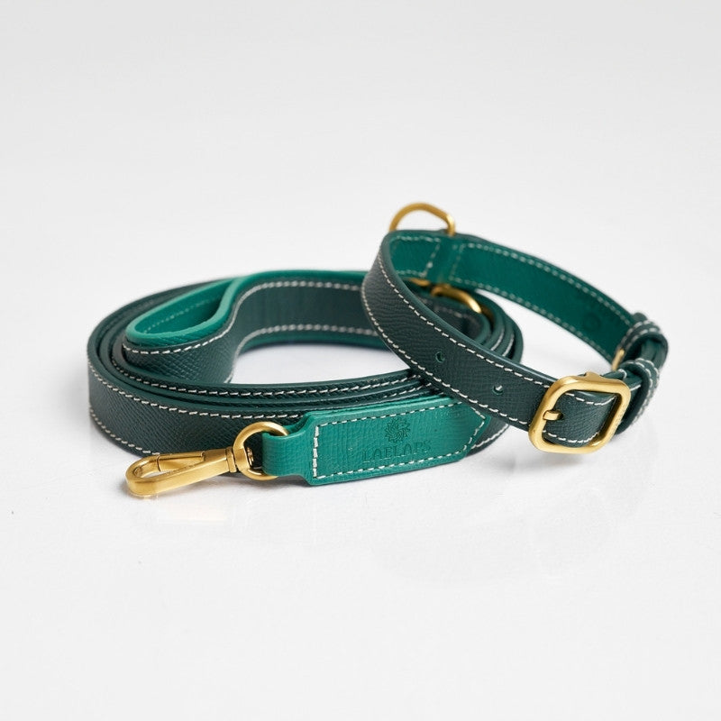 Laisse pour Chien Verte Enroulée