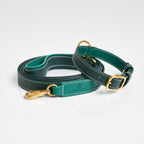 Laisse pour Chien Verte Enroulée