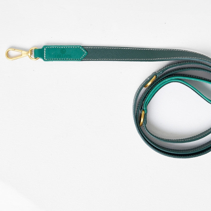 Laisse pour Chien Verte Grande Taille