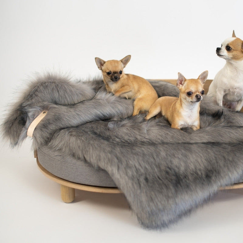 Lit pour Chien en Bois Chiots