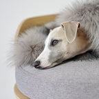 Lit pour Chien en Bois Confortable