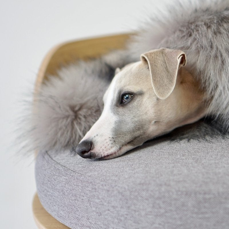 Lit pour Chien en Bois Confortable