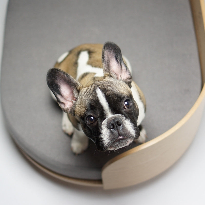 LOUE - Lit pour chien en bois