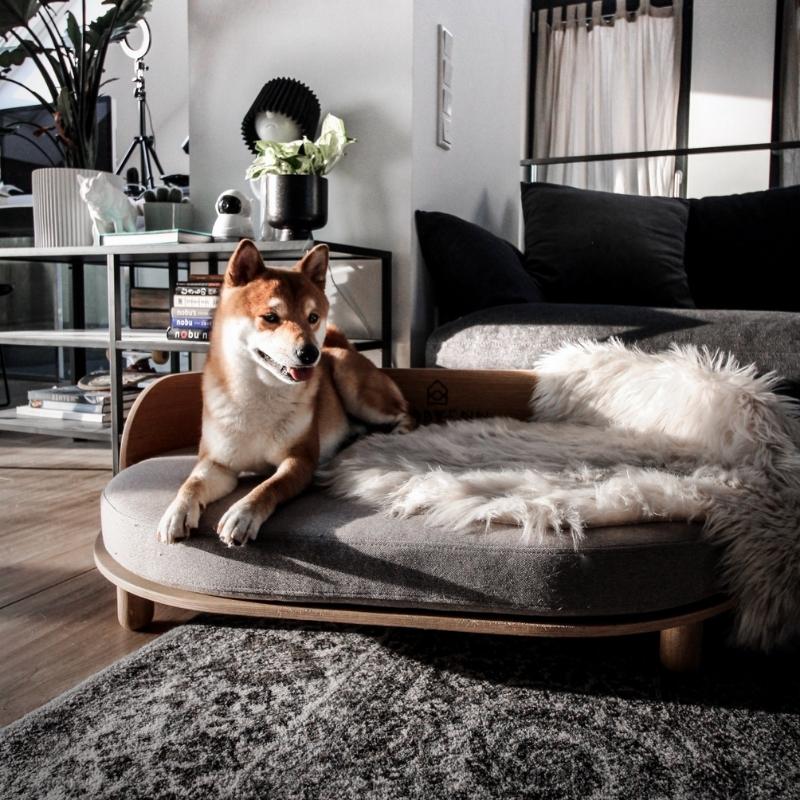 Lit pour Chien en Bois Salon